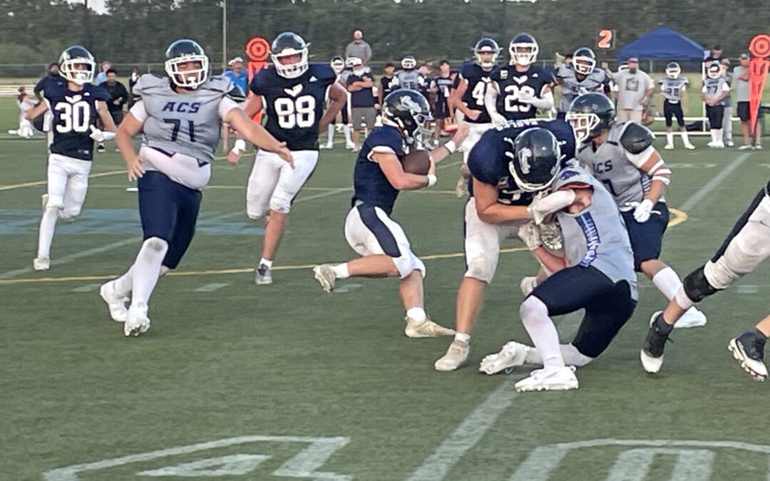 Eagles Fall to Lions