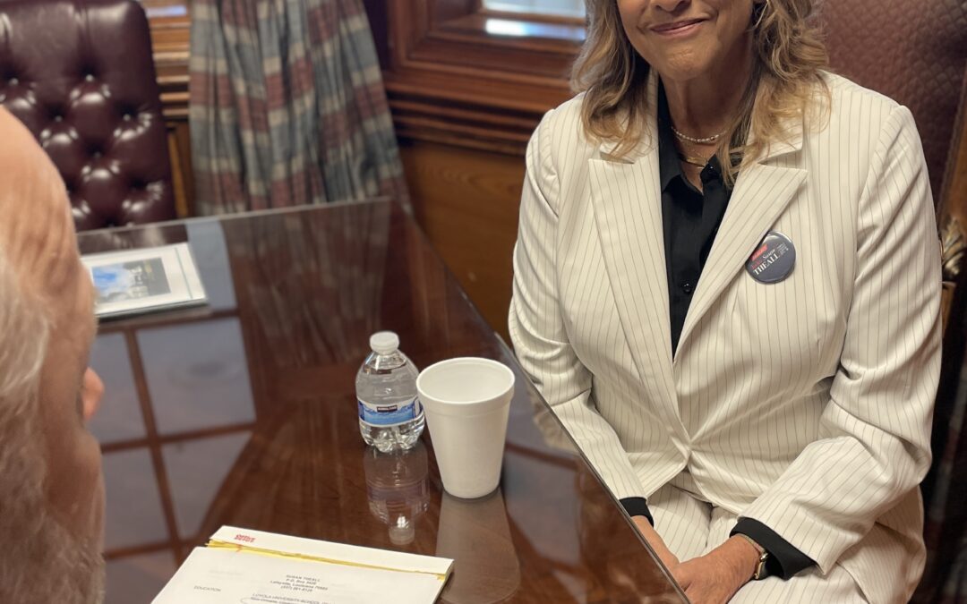 MEET FAMILY COURT DIVISION M CANDIDATE SUSAN THEALL